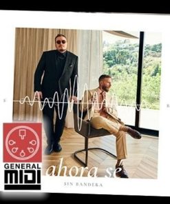 midi del tema AHORA SE de Sin Bandera (con linea melódica)