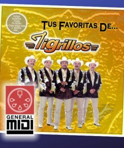 midi del tema MIRA OYE del grupo los tigrillos de la producción Que lo baile bien (con linea)