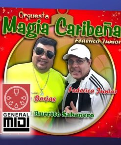 midi del tema MI BURRITO SABANERO con NEGUITO BORJAS MAGIA CARIBEÑA (linea melodica)