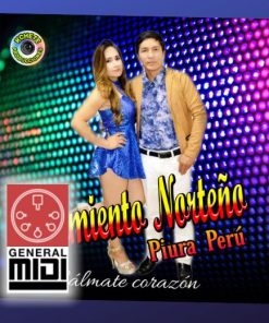 midi del tema A MI MADRE del grupo Sentimiento Norteño (con linea melodica)